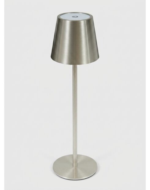 Lampe extérieur Cody argent - H. 36cm