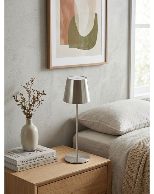 Lampe extérieur Cody argent - H. 36cm
