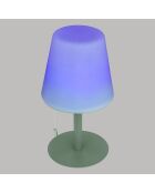 Lampe extérieur Zack vert olive - H. 30cm