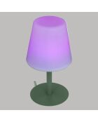 Lampe extérieur Zack vert olive - H. 30cm