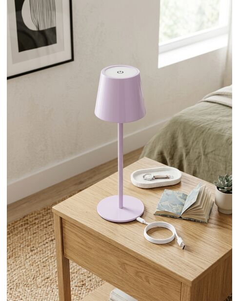 Lampe extérieur Cody lilas - H. 36cm