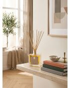Diffuseur en verre Elea Ner jaune - 160ml