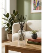 Diffuseur en verre Ilan Eucalyptus vert clair - 150ml