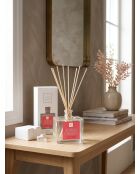 Diffuseur en verre Elea Pomme Amour rouge - 160ml