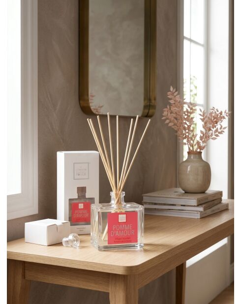 Diffuseur en verre Elea Pomme Amour rouge - 160ml