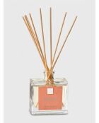 Diffuseur en verre Elea orange - 160ml