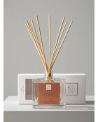 Diffuseur en verre Elea orange - 160ml