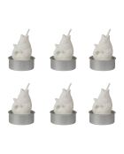 Set mit 6 Kerzen in einer Schachtel Poisson Blanc - H.5,5 cm