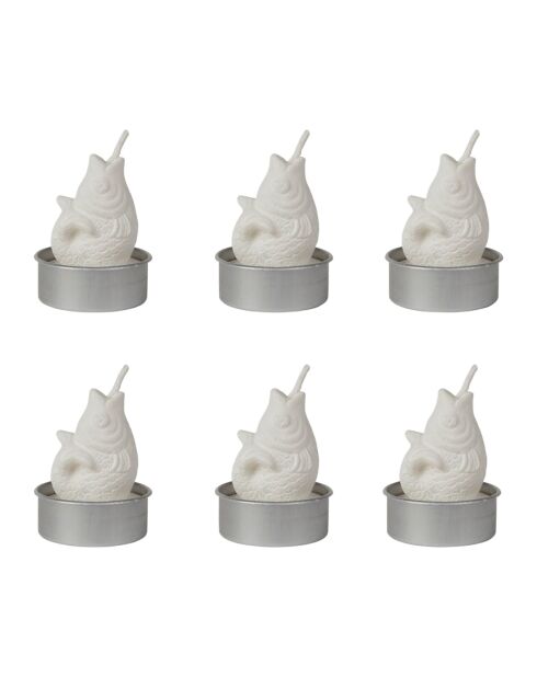 Set de 6 velas en una caja Poisson blanc - H.5.5 cm