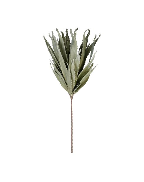 Fleur artificielle Aloe Verte - H100 cm