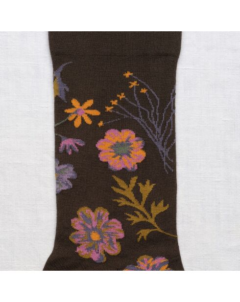 Chaussette en coton Herbier Terre d'Ombre