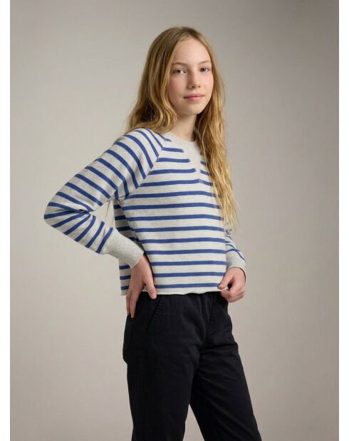 Fabina gestreiftes Sweatshirt