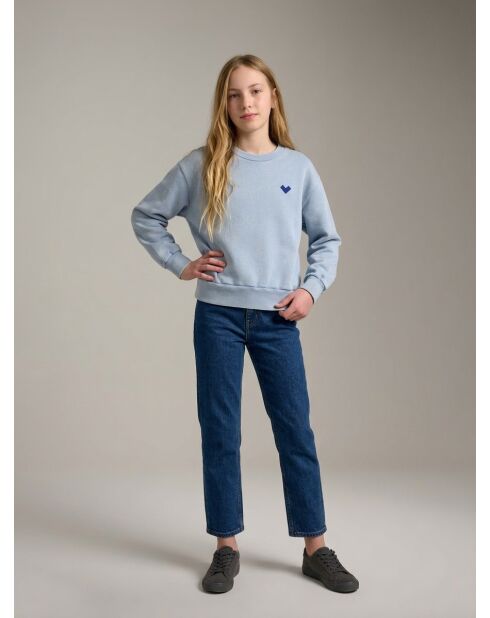 Sweat-shirt Fanzi chambray