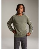 Sweat Fagoso moss