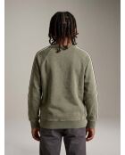 Sweat Fagoso moss