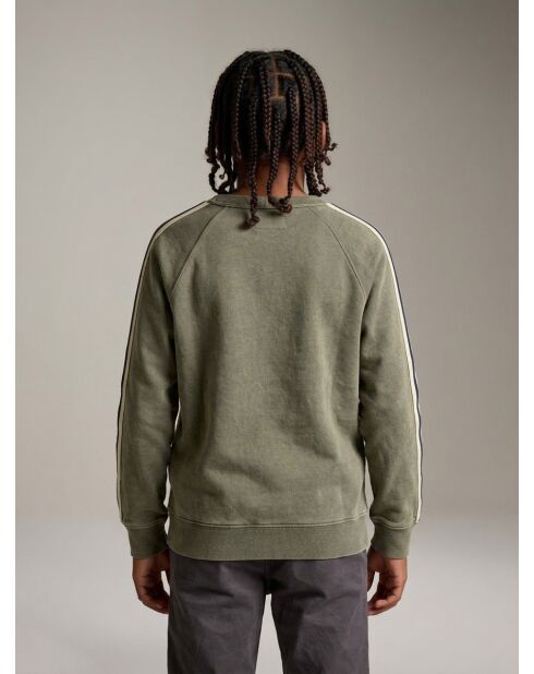 Sweat Fagoso moss