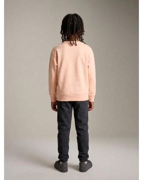 Hellrosa Sweatshirt Fago aus Baumwolle