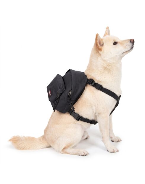 Sac à dos Dog Pak'R noir - 22x15x13 cm
