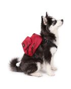 Sac à dos Dog Pak'R sailor red - 22x15x13 cm