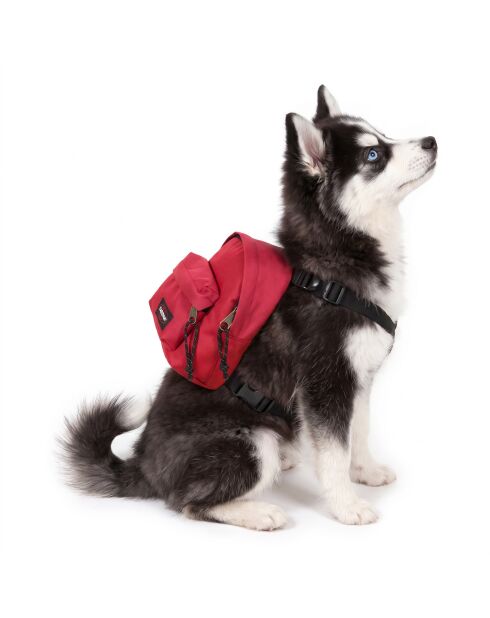 Sac à dos Dog Pak'R sailor red - 22x15x13 cm