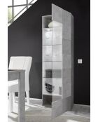 Vitrine 1 porte en verre battant DAMA béton - 59.7x42x186.4 cm