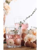 Lot de 6 verres LV-KEO366F transparent - 345 ml