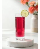 Lot de 6 verres LV-ADA389F transparent - 315 ml