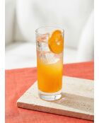 Lot de 6 verres LV-ADA389F transparent - 315 ml