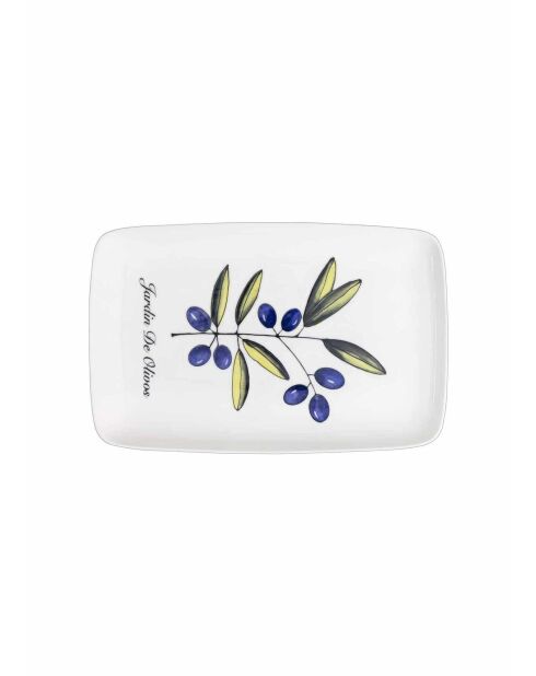Plato de servir multicolor OVS0015 - 33x21 cm