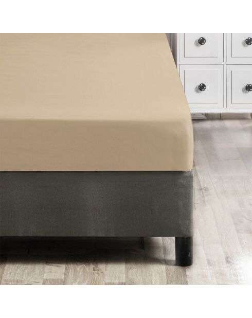 Super-Kingsize-Spannbetttuch aus beigefarbener verstärkter Baumwolle — 180 x 200 + 30 cm