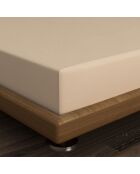 Super-Kingsize-Spannbetttuch aus beigefarbener verstärkter Baumwolle — 180 x 200 + 30 cm