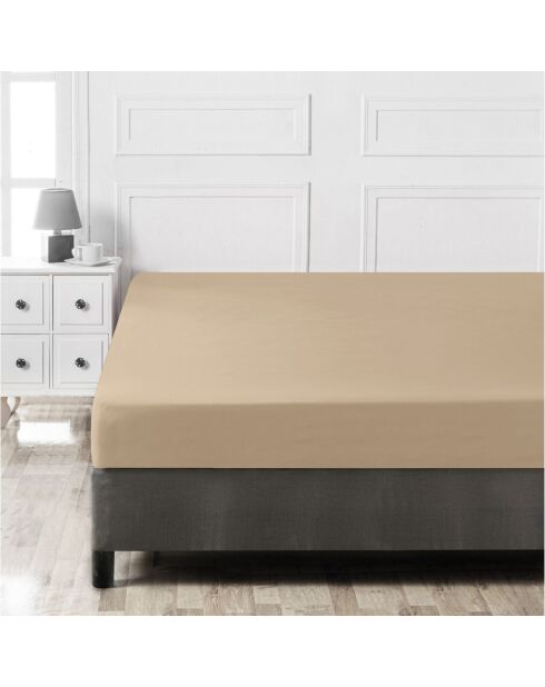Super-Kingsize-Spannbetttuch aus beigefarbener verstärkter Baumwolle — 180 x 200 + 30 cm