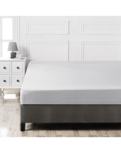 Lenzuolo con angoli doppi in cotone rinforzato grigio