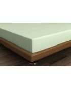 Drap-housse modèle 1 place en coton ranforcé vert clair