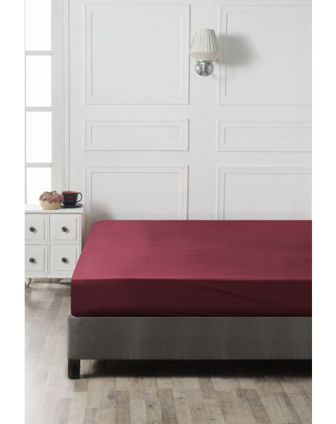 Drap-housse en coton ranforcé bordeaux