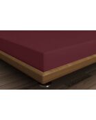 Drap-housse en coton ranforcé bordeaux