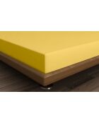 Drap-housse 1 place en coton ranforcé jaune foncé