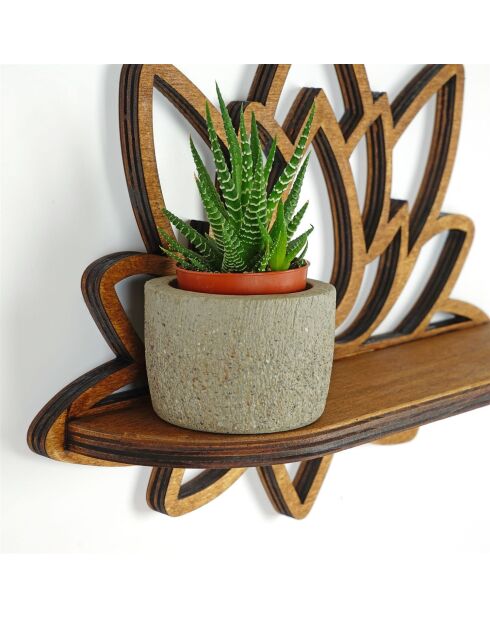 Étagère murale Raf264 noyer - 33x26x10 cm