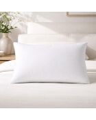Oreiller anti-punaise en microfibre ferme Oka blanc