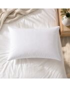 Oreiller anti-punaise en microfibre ferme Oka blanc