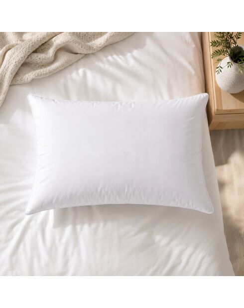 Oreiller anti-punaise en microfibre ferme Oka blanc