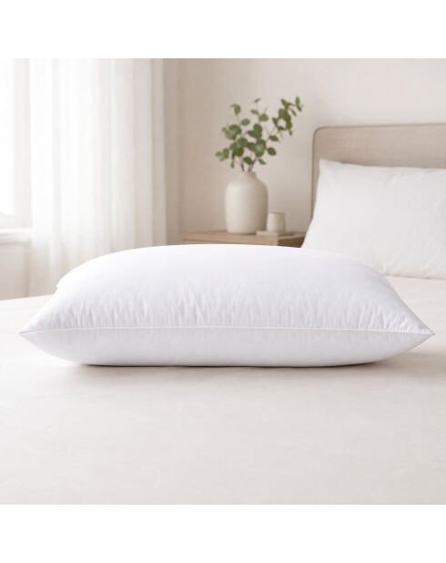 Oreiller anti-punaise en microfibre ferme Oka blanc