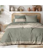 Set copripiumino Cylus in cotone verde salvia/beige