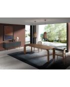 Modernes Design-Sideboard dunkelgrau/nussbaum/gold - 180x45x79 cm