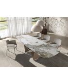 Chaise avec accoudoirs au design moderne, avec assise et dossier gris/acier - 66x54x77 cm