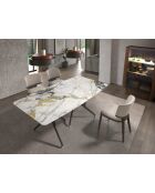 Chaise au design moderne chêne frêne foncé/gris clair - 53x55x78 cm