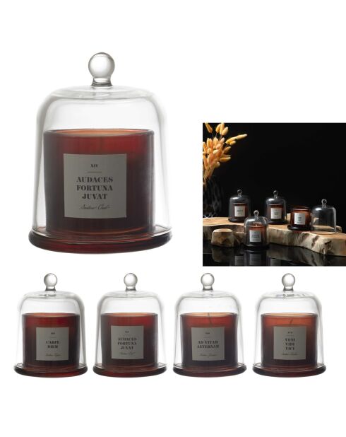 Set di 4 candele profumate latine con campana marrone/nera - 8,5x11x8,5 cm