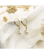 pendientes de oro, latón y perlas de agua dulce