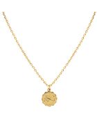 Astromania Scorpion gouden koperen halsketting