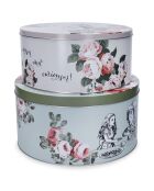 2 Alice in Wonderland roze/blauwe koekjesdozen